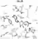 Fig. 12 - Compositions and Methods for Treating Pathological Calcification and Ossification