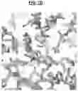 Fig. 14 - Compositions and Methods for Treating Pathological Calcification and Ossification