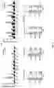 Fig. 03 - IMMUNOGENIC FORMULATIONS FOR TREATING CANCER