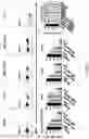 Fig. 04 - IMMUNOGENIC FORMULATIONS FOR TREATING CANCER