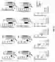 Fig. 06 - IMMUNOGENIC FORMULATIONS FOR TREATING CANCER