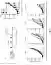 Fig. 08 - IMMUNOGENIC FORMULATIONS FOR TREATING CANCER