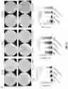 Fig. 14 - IMMUNOGENIC FORMULATIONS FOR TREATING CANCER