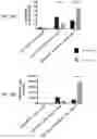 Fig. 04 - SEQUENTIAL HETEROLOGOUS BOOST ONCOLYTIC VIRAL IMMUNOTHERAPY