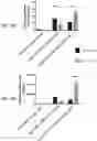 Fig. 05 - SEQUENTIAL HETEROLOGOUS BOOST ONCOLYTIC VIRAL IMMUNOTHERAPY