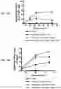 Fig. 07 - SEQUENTIAL HETEROLOGOUS BOOST ONCOLYTIC VIRAL IMMUNOTHERAPY