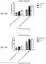 Fig. 08 - SEQUENTIAL HETEROLOGOUS BOOST ONCOLYTIC VIRAL IMMUNOTHERAPY