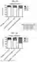 Fig. 09 - SEQUENTIAL HETEROLOGOUS BOOST ONCOLYTIC VIRAL IMMUNOTHERAPY