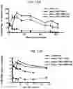 Fig. 14 - SEQUENTIAL HETEROLOGOUS BOOST ONCOLYTIC VIRAL IMMUNOTHERAPY