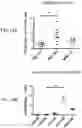 Fig. 18 - SEQUENTIAL HETEROLOGOUS BOOST ONCOLYTIC VIRAL IMMUNOTHERAPY