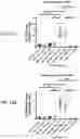 Fig. 24 - SEQUENTIAL HETEROLOGOUS BOOST ONCOLYTIC VIRAL IMMUNOTHERAPY