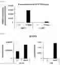 Fig. 02 - Cancer Antigen Peptide