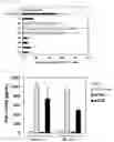 Fig. 05 - Cancer Antigen Peptide