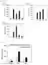 Fig. 08 - Cancer Antigen Peptide