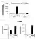 Fig. 02 - Cancer Antigen Peptide
