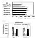 Fig. 07 - Cancer Antigen Peptide