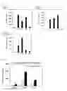 Fig. 08 - Cancer Antigen Peptide