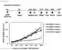 Fig. 09 - Cancer Antigen Peptide