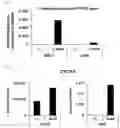 Fig. 02 - Cancer Antigen Peptide