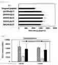 Fig. 07 - Cancer Antigen Peptide