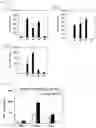 Fig. 08 - Cancer Antigen Peptide