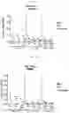 Fig. 02 - CONCATEMERIC PEPTIDE EPITOPE RNAS