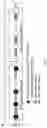 Fig. 05 - CONCATEMERIC PEPTIDE EPITOPE RNAS