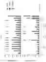 Fig. 09 - CONCATEMERIC PEPTIDE EPITOPE RNAS