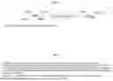 Fig. 13 - CONCATEMERIC PEPTIDE EPITOPE RNAS