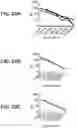 Fig. 41 - compositions and methods thereof