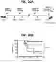 Fig. 50 - compositions and methods thereof