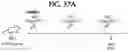 Fig. 57 - compositions and methods thereof