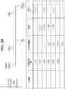 Fig. 59 - compositions and methods thereof