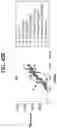 Fig. 62 - compositions and methods thereof