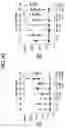 Fig. 64 - compositions and methods thereof