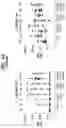 Fig. 65 - compositions and methods thereof