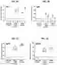 Fig. 03 - VACCINE AGAINST ACINETOBACTER BAUMANNII BASED ON CELLULAR COMPONENTS DEFICIENT IN LIPOPOLYSACCHARIDE