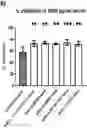Fig. 01 - LAWSONIA INTRACELLULARIS COMPOSITIONS AND METHODS OF USING THE SAME