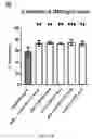 Fig. 19 - LAWSONIA INTRACELLULARIS COMPOSITIONS AND METHODS OF USING THE SAME