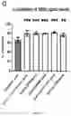 Fig. 20 - LAWSONIA INTRACELLULARIS COMPOSITIONS AND METHODS OF USING THE SAME