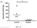 Fig. 22 - LAWSONIA INTRACELLULARIS COMPOSITIONS AND METHODS OF USING THE SAME