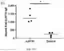 Fig. 23 - LAWSONIA INTRACELLULARIS COMPOSITIONS AND METHODS OF USING THE SAME