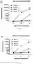 Fig. 25 - LAWSONIA INTRACELLULARIS COMPOSITIONS AND METHODS OF USING THE SAME
