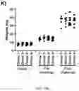 Fig. 29 - LAWSONIA INTRACELLULARIS COMPOSITIONS AND METHODS OF USING THE SAME