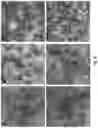 Fig. 11 - NOROVIRUS-LIKE PARTICLES WITH IMPROVED STABILITY