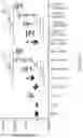 Fig. 10 - HPV vaccine