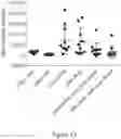Fig. 21 - HPV vaccine