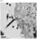 Fig. 07 - Replication-deficient modified vaccinia Ankara (MVA) expressing glycoprotein (GP) and matrix protein (VP40)