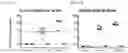 Fig. 13 - Replication-deficient modified vaccinia Ankara (MVA) expressing glycoprotein (GP) and matrix protein (VP40)