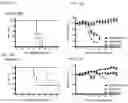 Fig. 15 - Replication-deficient modified vaccinia Ankara (MVA) expressing glycoprotein (GP) and matrix protein (VP40)